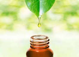  Relief Joints Pain Manufacturer in India