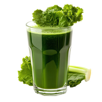 Herbal Juices Manufacturer in India
